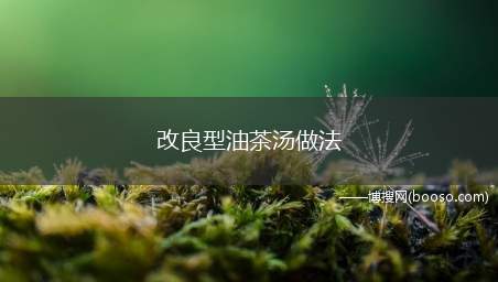 改良型油茶汤做法（油茶面做法改良成的早点油茶汤做法）