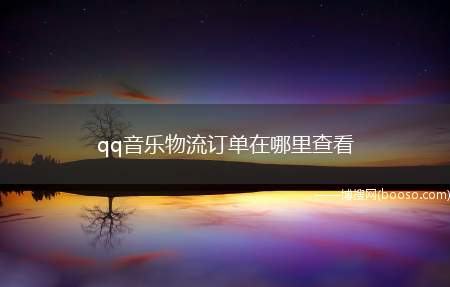 qq音乐物流订单在哪里查看（华为p40pro,iPhone12,小米11;MIUI12.）