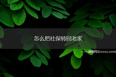 怎么把社保转回老家（将个人社保转回老家的方法）