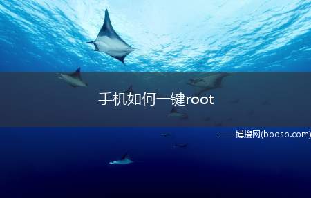 手机如何一键root