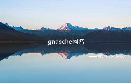 gnasche网名（gnasche网名的意思）