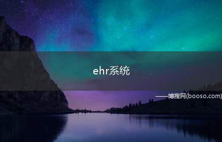 ehr系统（eHR系统(人力资源管理系统)）