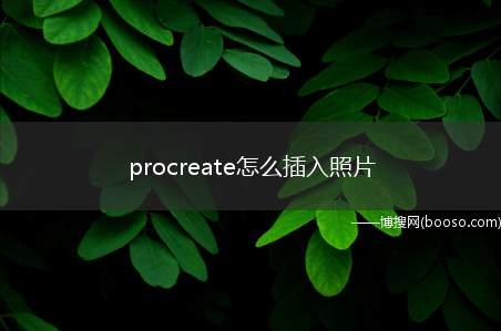 procreate怎么插入照片（procreate方法）