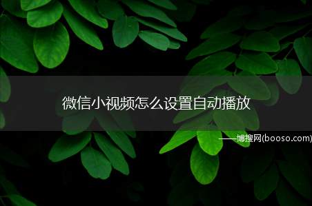 微信小视频怎么设置自动播放（如何设置朋友圈小视频）