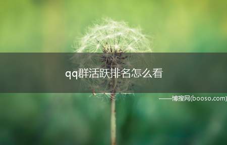 qq群活跃排名怎么看（我们这个活跃排名应该怎么看了）