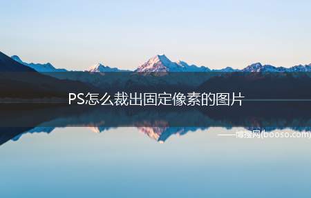 PS怎么裁出固定像素的图片