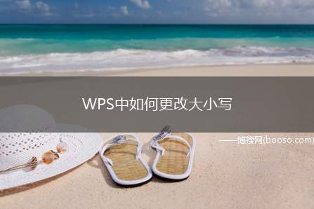 WPS中如何更改大小写（WPS文档文件更改大小写）