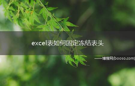 excel表如何固定冻结表头（如何固定excel表的表头）