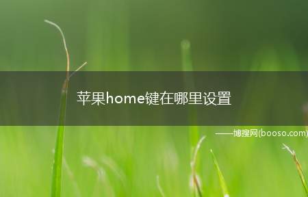 苹果home键在哪里设置（iPhonex如何开启辅助触控）