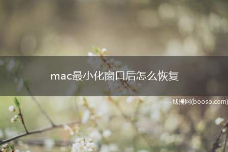 mac最小化窗口后怎么恢复（MacOSX窗口最小化恢复的操作方法）