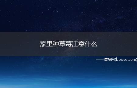 家里种草莓注意什么（草莓土壤不能过于潮湿的,太湿的话是会造成烂根现象的）