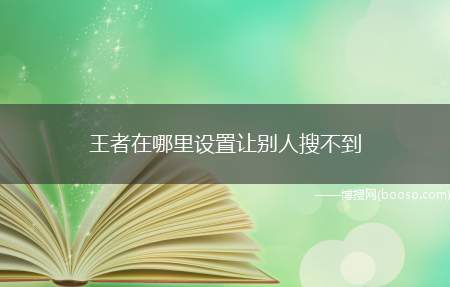 王者在哪里设置让别人搜不到