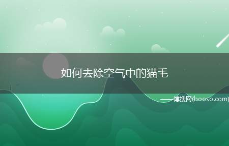 如何去除空气中的猫毛（当空气中有猫毛时,可以直接使用空气净化器将猫毛去除）