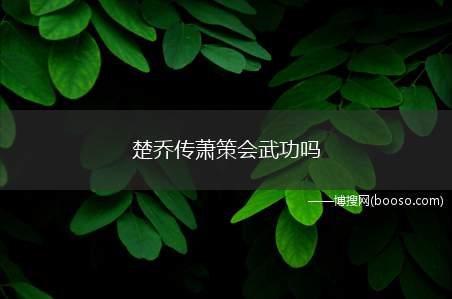 楚乔传萧策会武功吗（楚乔传萧策会武功。萧策是大梁太子,并且萧策的武功还非常厉害）