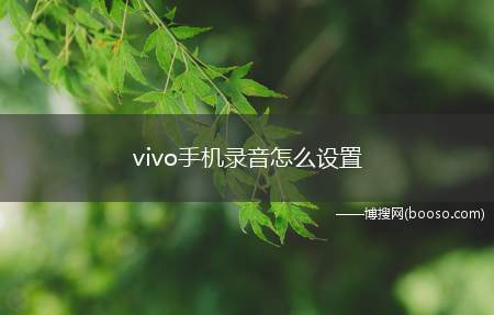 vivo手机录音怎么设置（vivo手机录音设置的具体操作步骤）