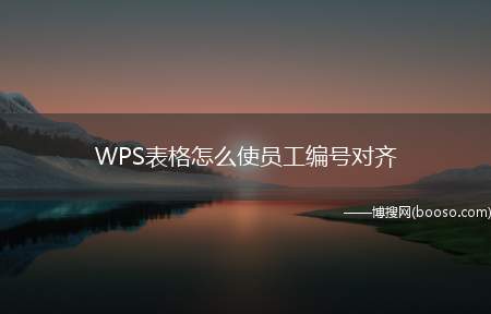 WPS表格怎么使员工编号对齐