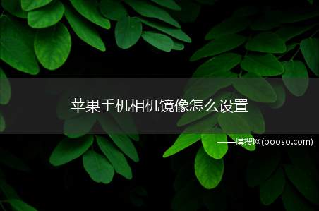 苹果手机相机镜像怎么设置（苹果手机拍照如何设置镜像）