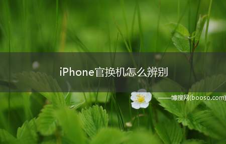 iPhone官换机怎么辨别