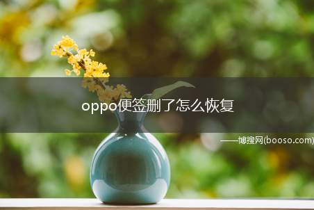 oppo便签删了怎么恢复（演示品牌型号:OPPOReno5;系统:ColorOS11）