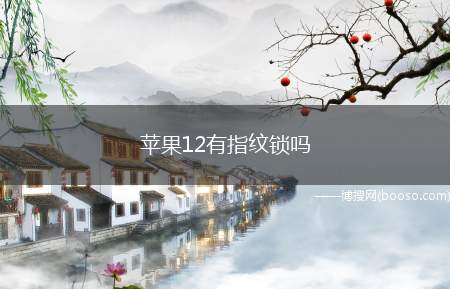 苹果12有指纹锁吗（苹果12是没有指纹解锁的）