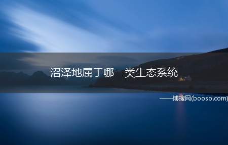 沼泽地属于哪一类生态系统（沼泽地属于湿地生态系统）