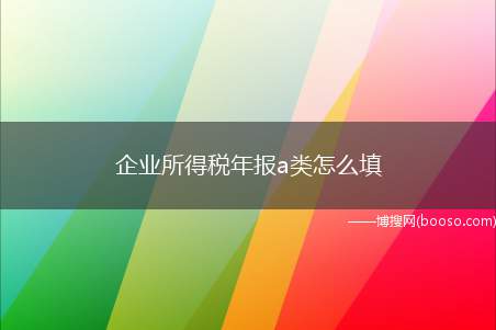 企业所得税年报a类怎么填（税收数调增调减数,折旧摊销表,广告费表据实填列）