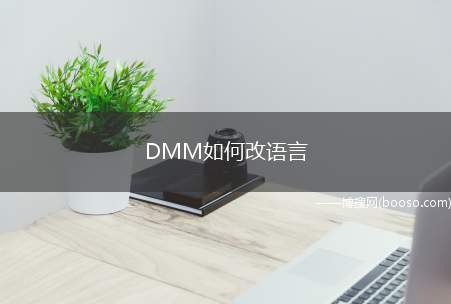 DMM如何改语言（dmm切换语言步骤流程）