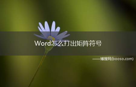 Word怎么打出矩阵符号（Word里面打出矩阵的符号）