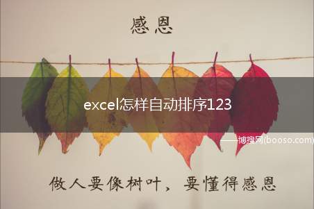 excel怎样自动排序123（本视频演示机型:Surface Go 2,适用系统:Wind）