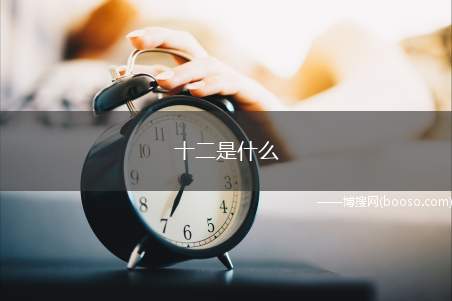 十二是什么（十二是“难忘”的意思,因为“朋友”的笔画是十二画）