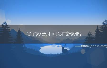 买了股票才可以打新股吗（不满足打新前20个交易日日均资产1万元市值要求）