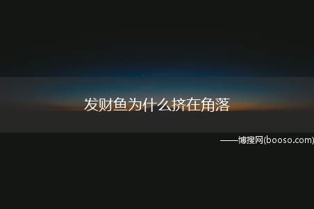 发财鱼为什么挤在角落（发财鱼之所以会挤在角落,主要有几个原因）