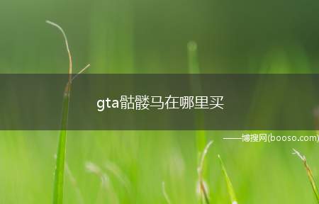 gta骷髅马在哪里买（带装甲的骷髅马可以购买吗）