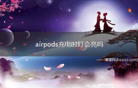 airpods充电时灯会亮吗(airpods在充电时指示灯会处于打开的状态)