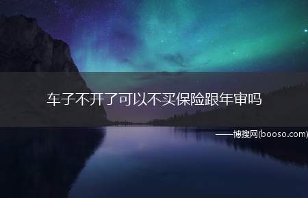 车子不开了可以不买保险跟年审吗(车子不开了可以不买保险跟年审)