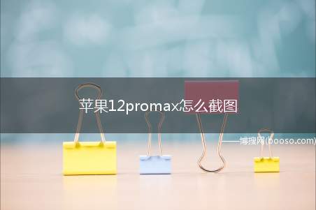 苹果12promax怎么截图