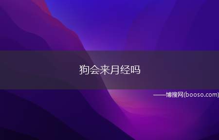 狗会来月经吗(狗狗在一岁多才会第一次来月经)