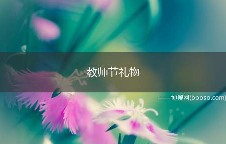 教师节礼物(教师节送什么礼物给老师比较好)