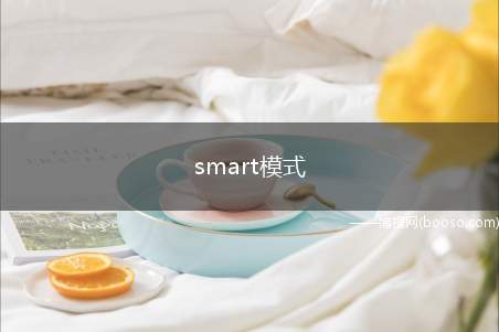 smart模式是什么意思