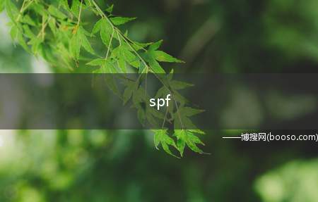 spf它是sunprotectionfactor的简称