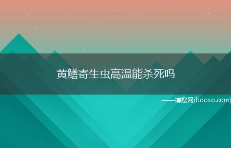 黄鳝寄生虫高温能杀死吗