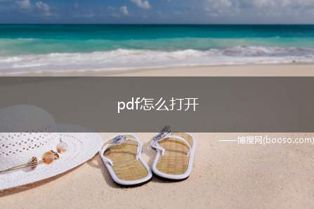 pdf怎么打开(win10190964位企业版软件)