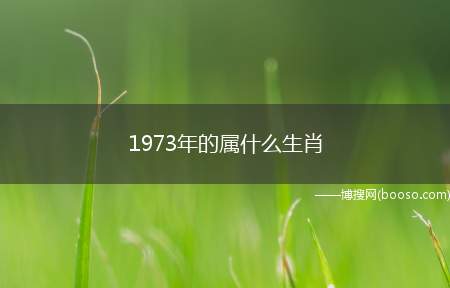 1973年的属什么生肖