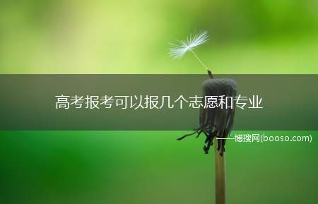 高考报考可以报几个志愿和专业(考生可以填报4个学校志愿)