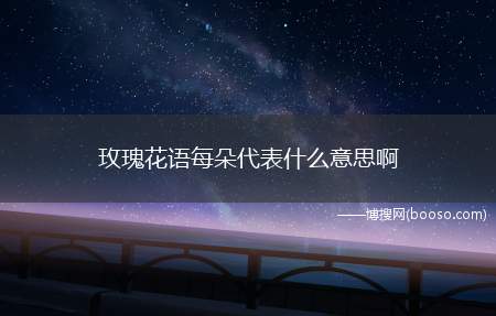 玫瑰花语每朵代表什么意思啊(12朵代表的是一见钟情、唯一的爱)