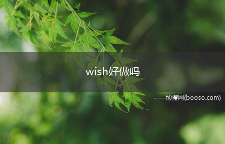 wish好做吗(入驻wish平台不太好做)